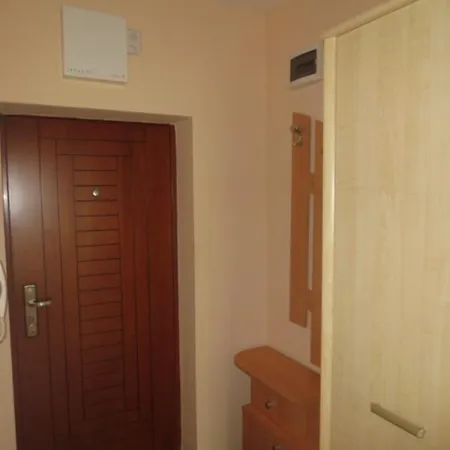 Mihaela 布尔加斯