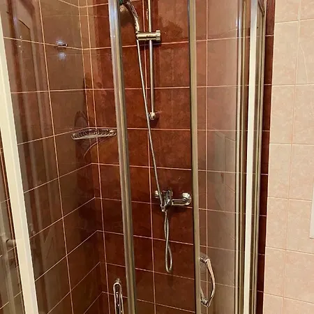 Mihaela Apartment *