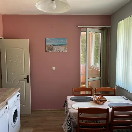 Mihaela 布尔加斯